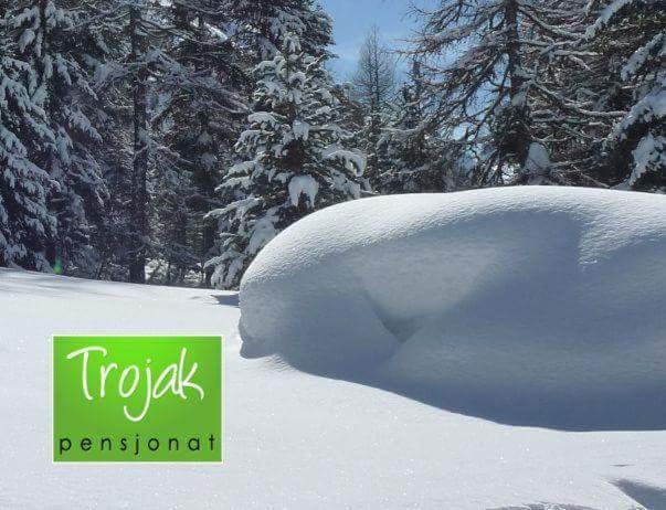 Pensjonat Trojak Ladek-Zdroj Exterior foto